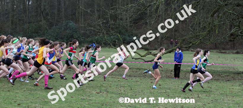 Start of the under-15 girls Northern Cross Country Champs, Knowsley Safari Park. Photo: David T. Hewitson/Sports for All Pics